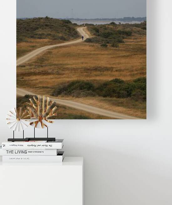 Dune landscape by ICI