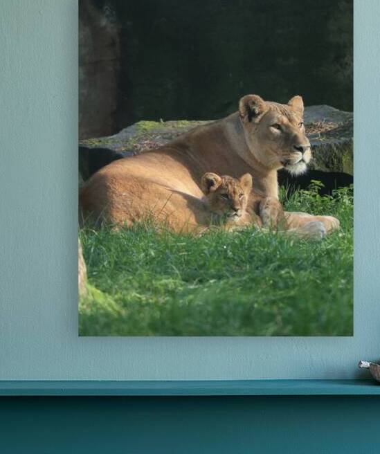lioness with cub by ICI