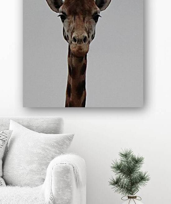 Giraffe portrait  by ICI