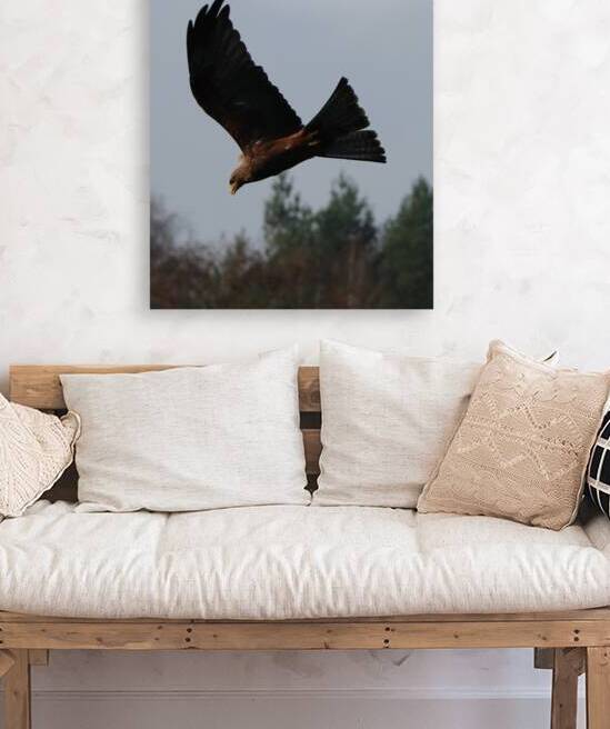 Bird flying by ICI
