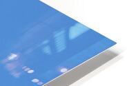 Bald Eagle in Flight. HD Metal print