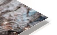 Squirrel  HD Metal print