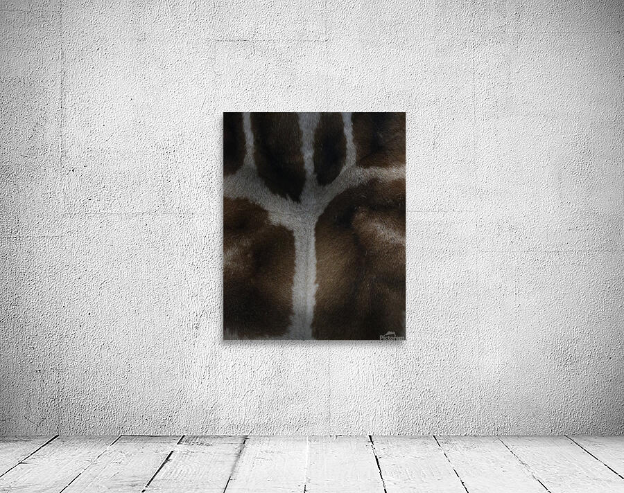 Giraffe texture Wall Preview