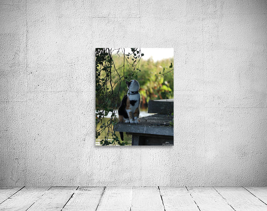 Cute cat Wall Preview