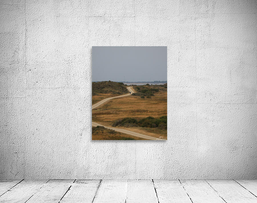Dune landscape Wall Preview