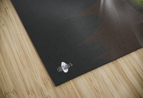 Par4 CARTSANDRA B puzzle