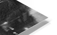 Sirene HD Metal print