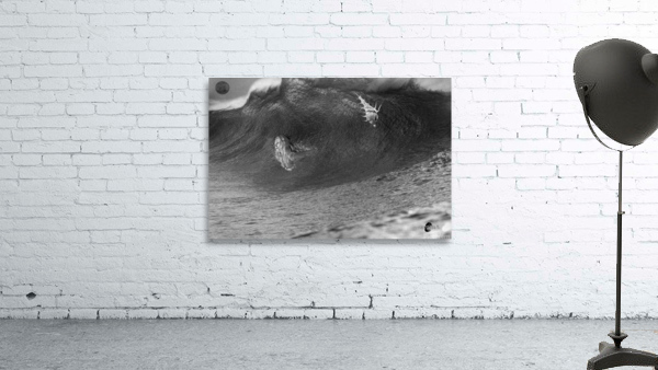 Sirene Wall Preview