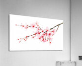 Celestial Canvas Acrylic Print