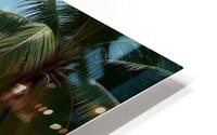 Dramatic Tropical Beach Scene HD Metal print