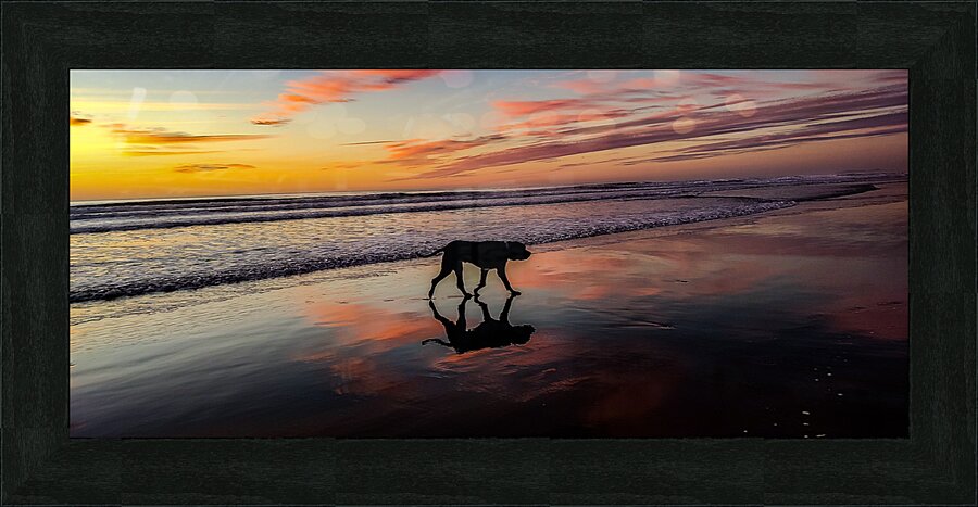 IMG 20231117 165154783 Picture Frame Printing