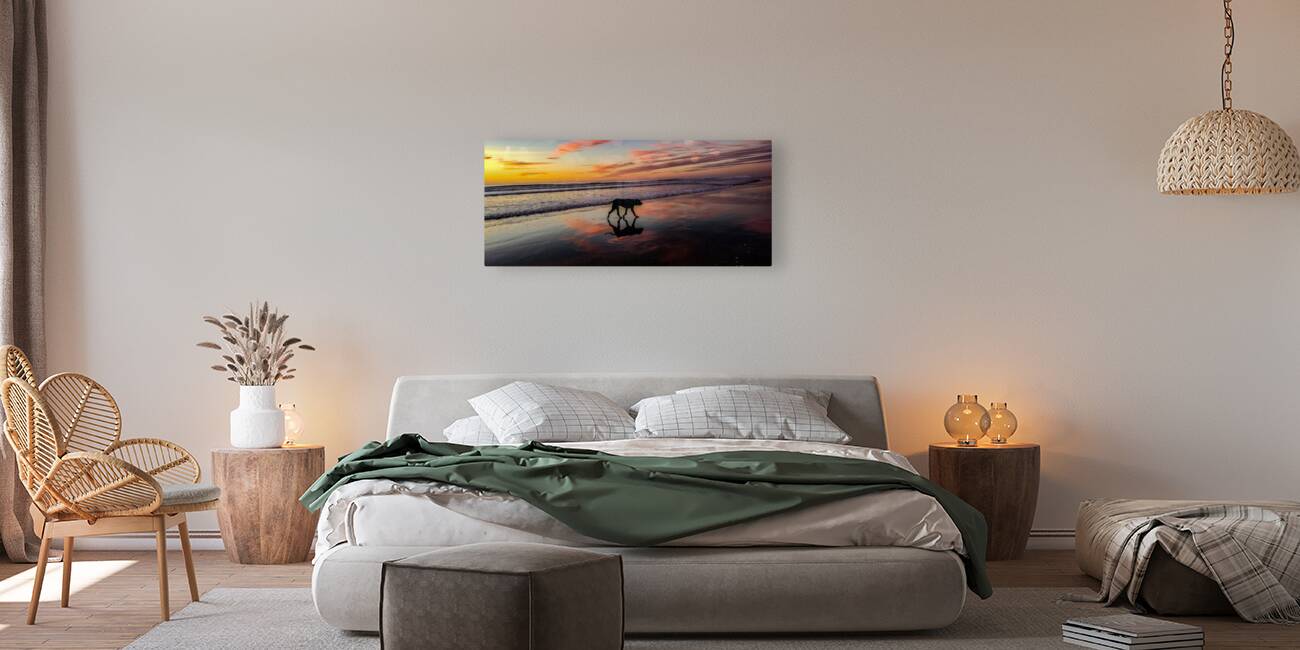 IMG 20231117 165154783 Reproduction