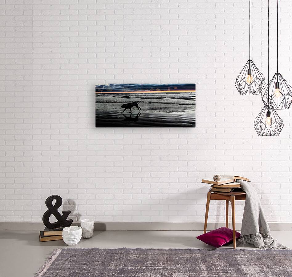 IMG 20230701 210812220 Reproduction