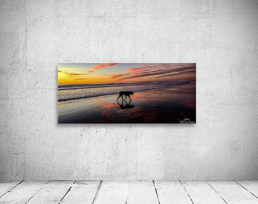 IMG 20231117 165154783 Wall Preview