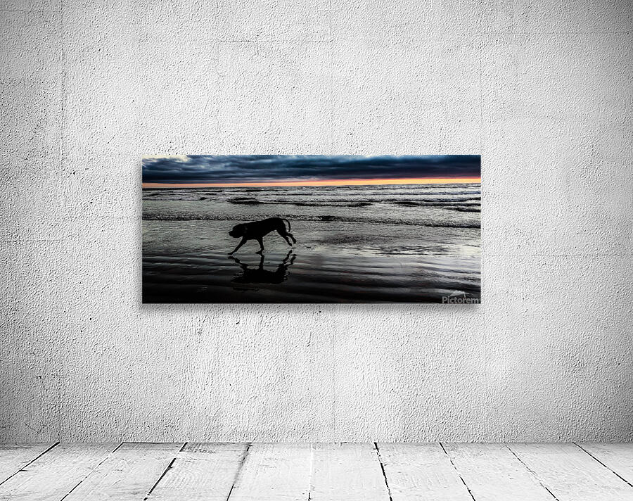 IMG 20230701 210812220 Wall Preview