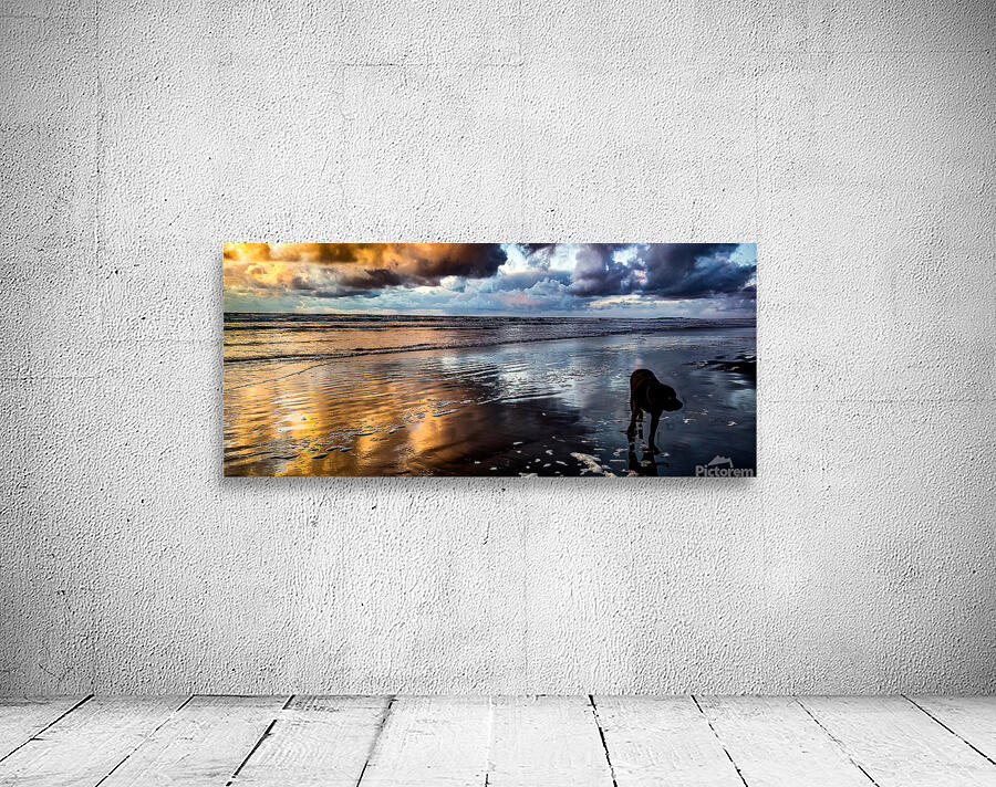 IMG 20230313 190940990 HDR Wall Preview