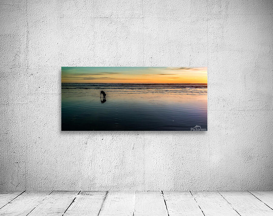 IMG 20240608 205617436 HDR Wall Preview