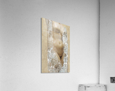 Aphrodite No1 Acrylic Print