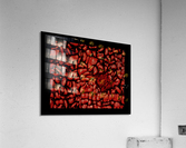 Biomorphic abstraction Acrylic Print