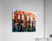 Forest No 34 Acrylic Print
