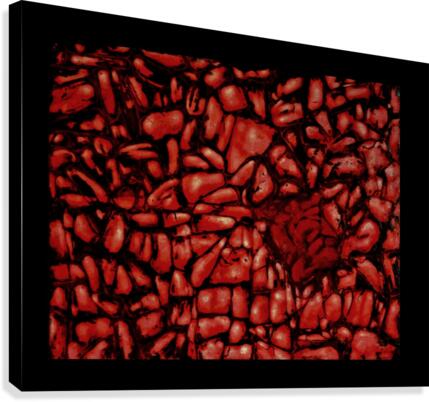 Biomorphic abstraction Canvas Print