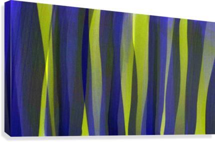 Forest No 8 Canvas Print
