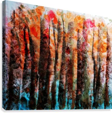 Forest No 34 Canvas Print