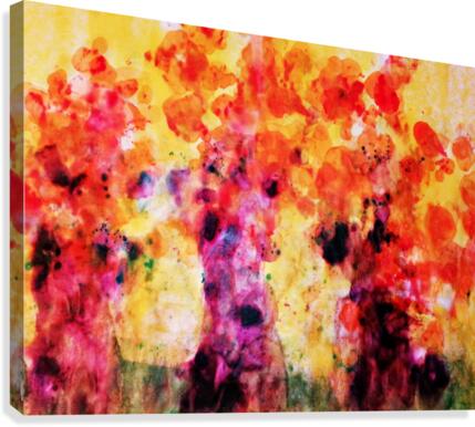 Forest No 28 Canvas Print