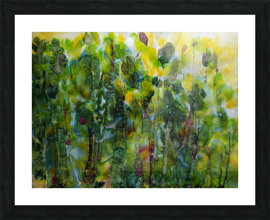 Forest No 23 Picture Frame print