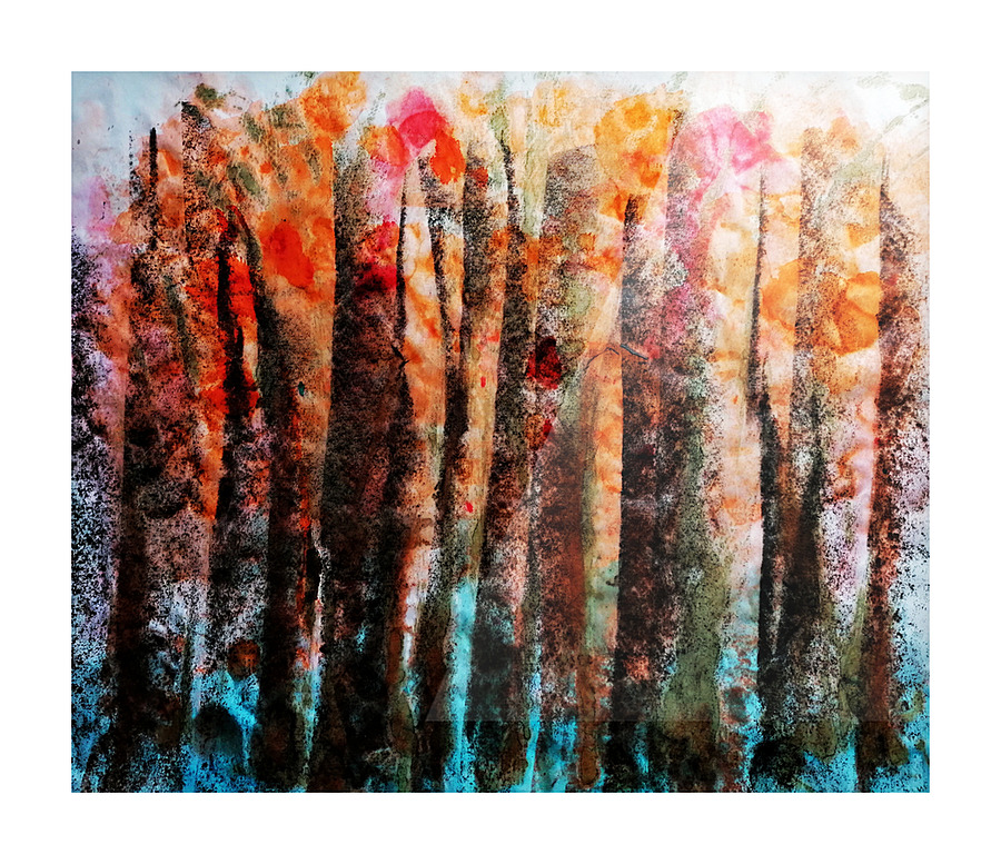 Forest No 34 Picture Frame print