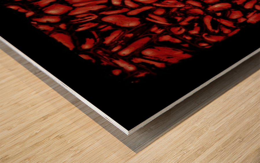 Biomorphic abstraction Wood print