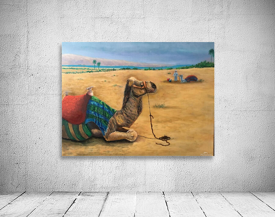 Camel Country Complete Wall Preview