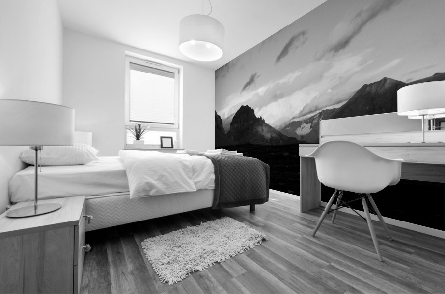Black and white landscape Mural print