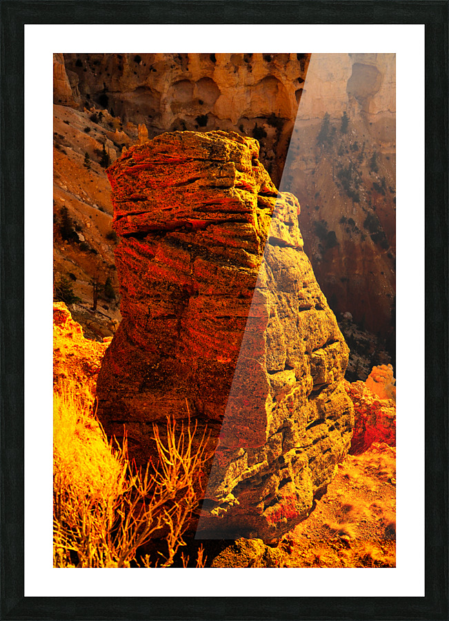  Fine Art print