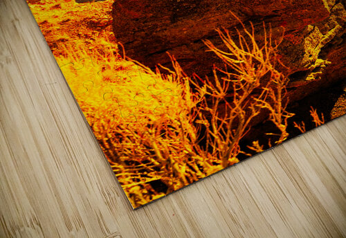 Vertical Canyon Giulio Bardelli puzzle
