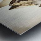 Triangular Peaks Metal print