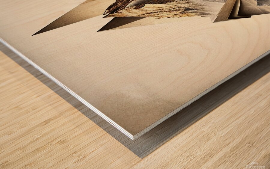 Triangular Peaks Wood print