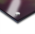 Kemble Tree Aurora Vertorama Acrylic print