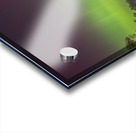 Summerfolk Tree Aurora Acrylic print