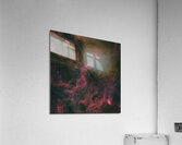 Crescent Nebula Wolf-Rayet 134 & Tulip Nebula - NGC 6888 - WR 134 - Sh2-101 Acrylic Print