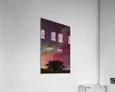 Kemble Tree Aurora Vertorama Acrylic Print