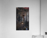 Seahorse Nebula - Barnard 150 Acrylic Print