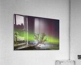Summerfolk Tree Aurora Acrylic Print