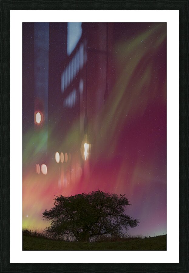 Kemble Tree Aurora Vertorama Picture Frame print
