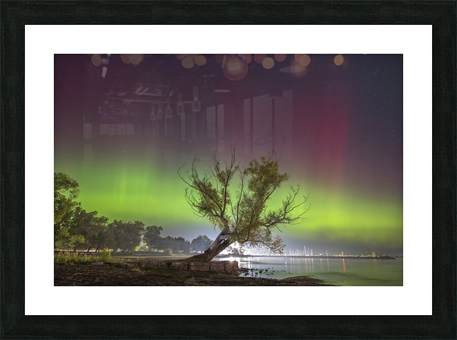 Summerfolk Tree Aurora Picture Frame print