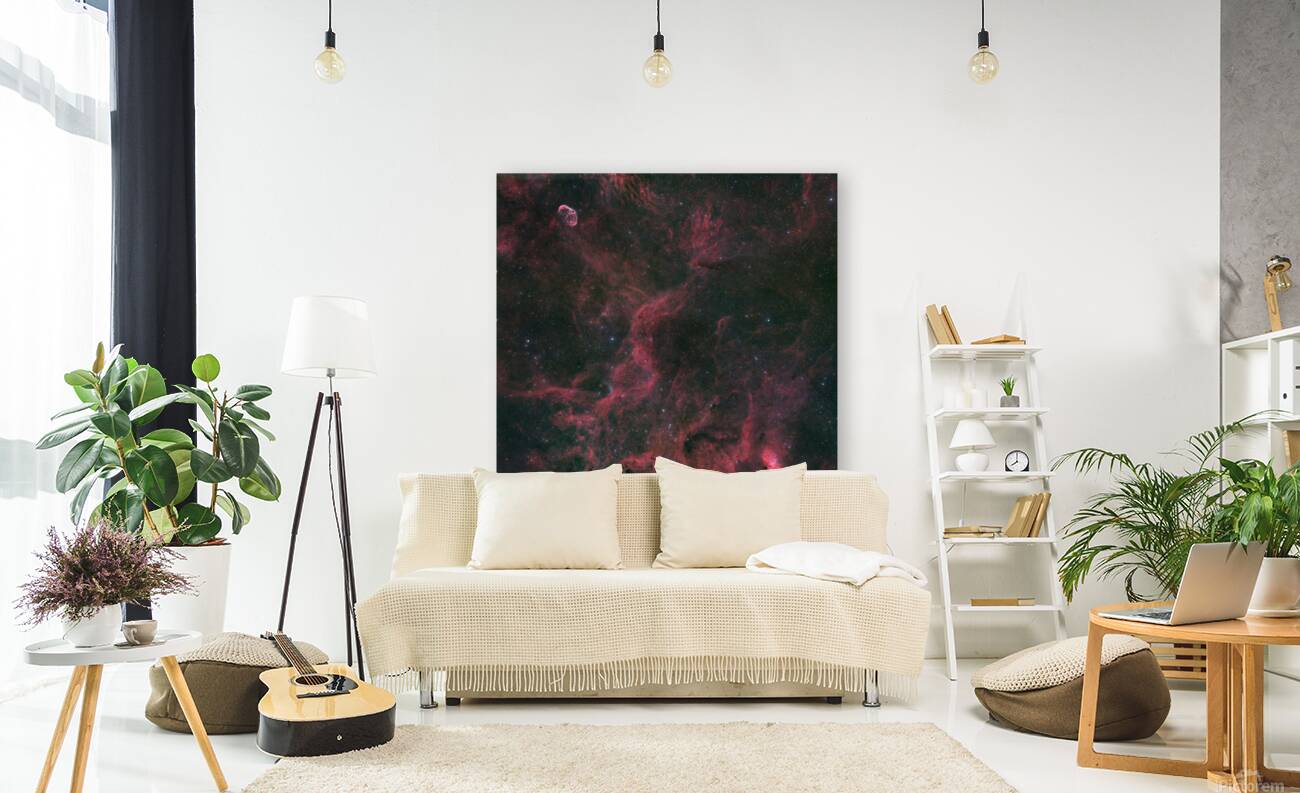 Crescent Nebula Wolf-Rayet 134 & Tulip Nebula - NGC 6888 - WR 134 - Sh2-101 Reproduction