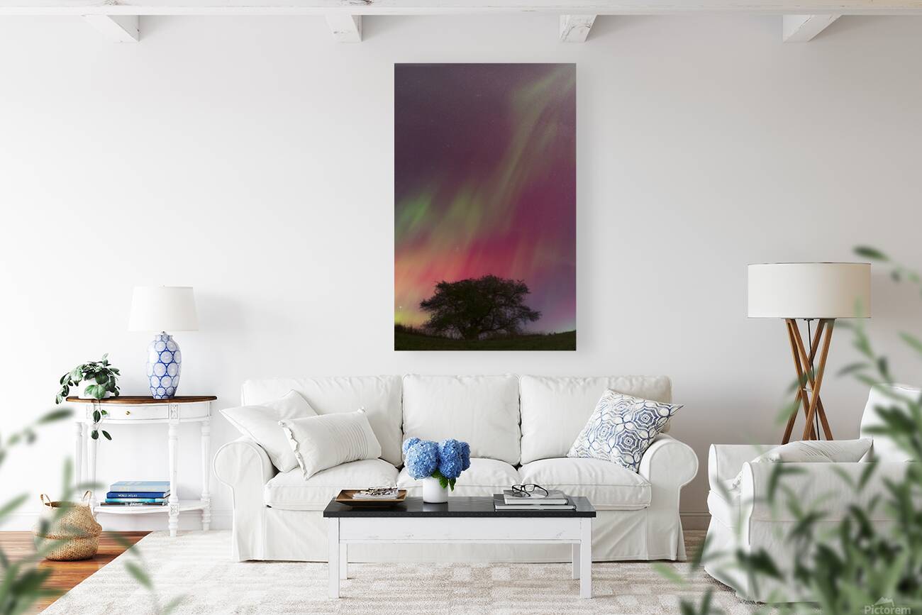 Kemble Tree Aurora Vertorama Reproduction