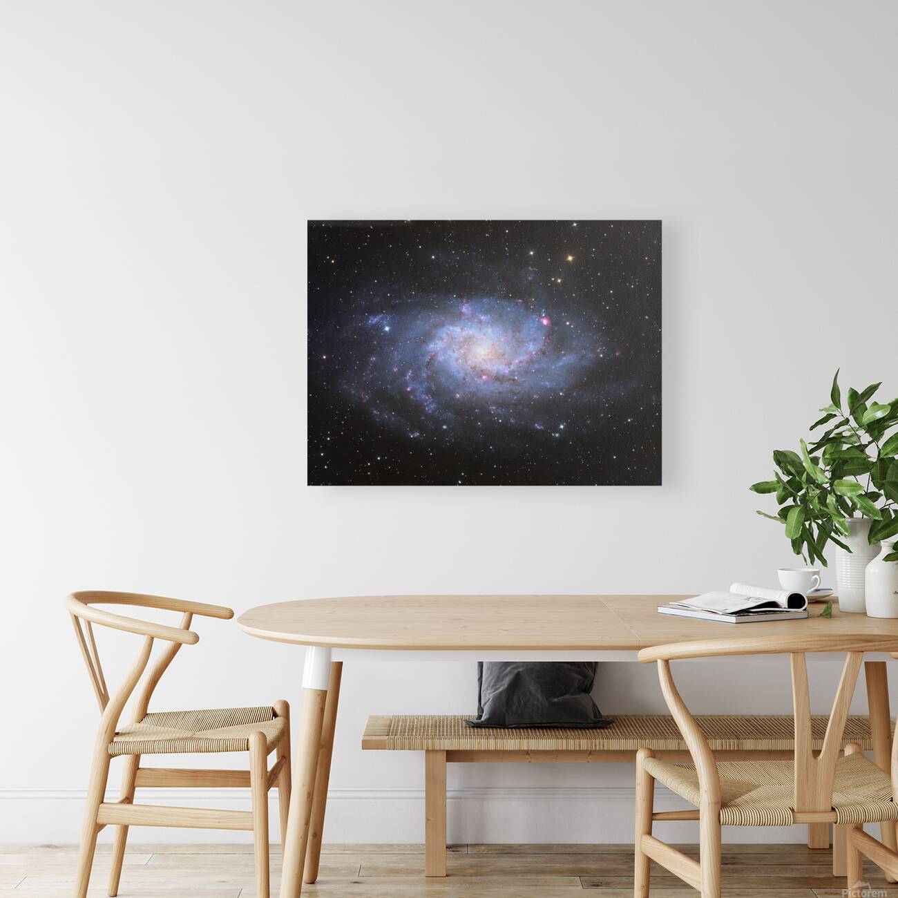 Triangulum Galaxy - M33  Reproduction