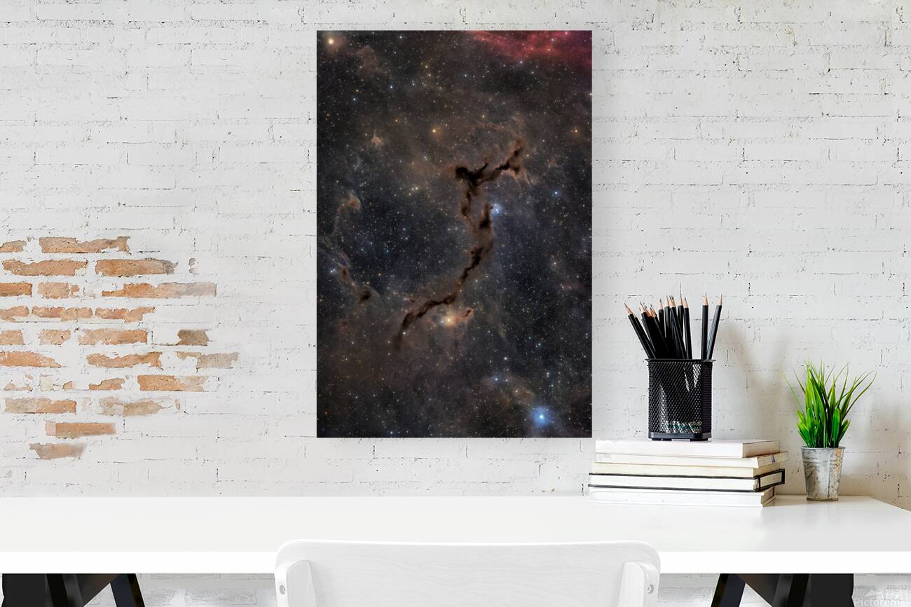 Seahorse Nebula - Barnard 150 Reproduction