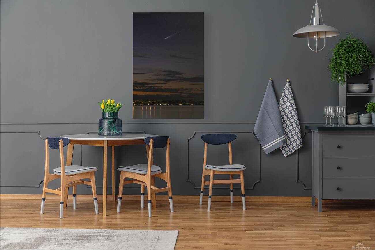 Comet Lemmon from Hibou Reproduction